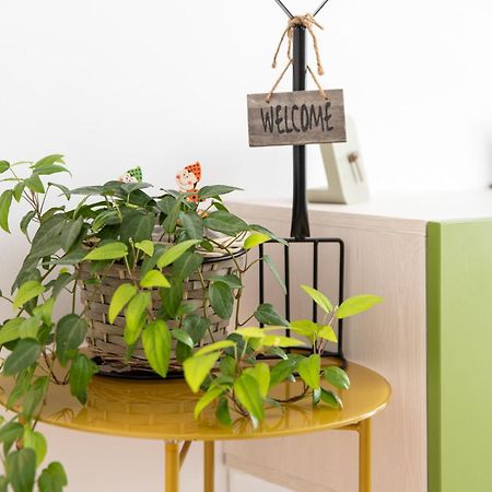Springhome - Cozy Apartment With Balcony & Parking Braşov Eksteriør bilde