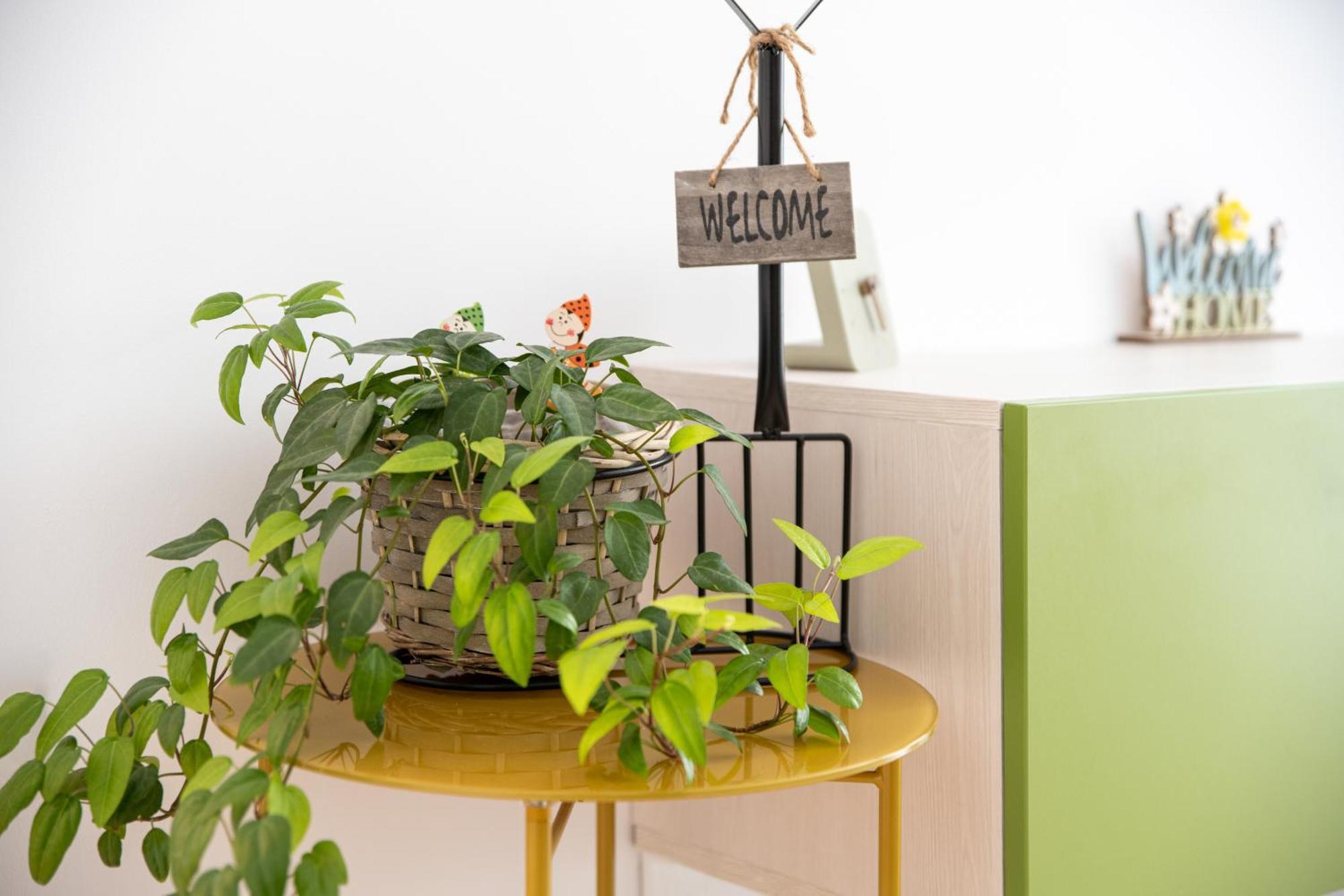 Springhome - Cozy Apartment With Balcony & Parking Braşov Eksteriør bilde